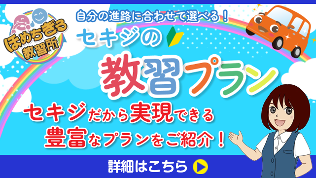 自分の進路に合わせて選べる！セキジの教習プラン